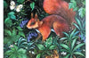 John Austin Little Red Squirrel Card