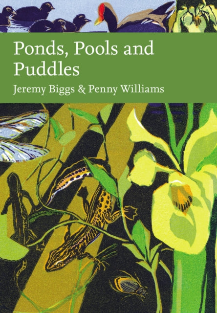 Ponds, Pools and Puddles by Jeremy Biggs & Penny Williams