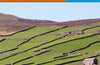 Yorkshire Dales Northern & Central : OL30