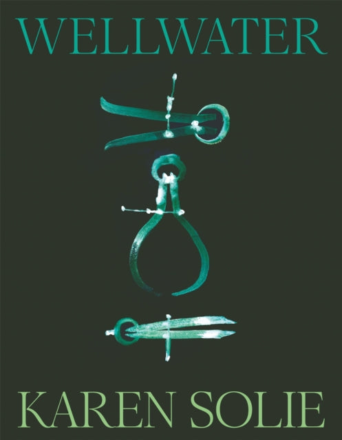 Wellwater by Karen Solie (PRE-ORDER)