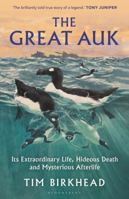The Great Auk : Its Extraordinary Life, Hideous Death and Mysterious Afterlife by Tim Birkhead