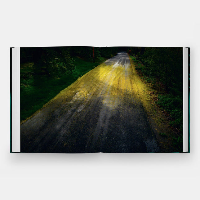 Emerald Drifters by Cig Harvey