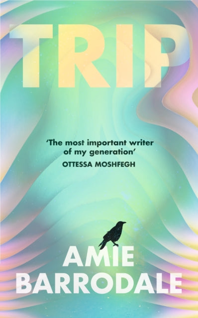Trip by Amie Barrodale