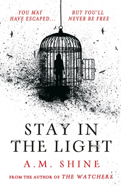 Stay in the Light by A.M. Shine (PRE-ORDER)