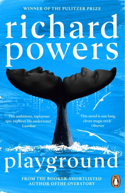 Playground by Richard Powers (PRE-ORDER)