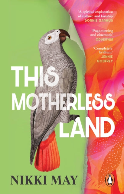 This Motherless Land by Nikki May