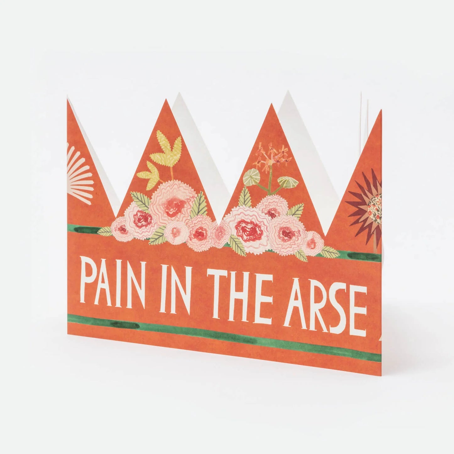 Hadley Pain In The Arse Party Hat