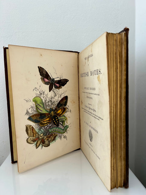 The Genera of British Moths popularly described and arranged according to the system ow adopted in the British Museum by H. Noel Humphreys