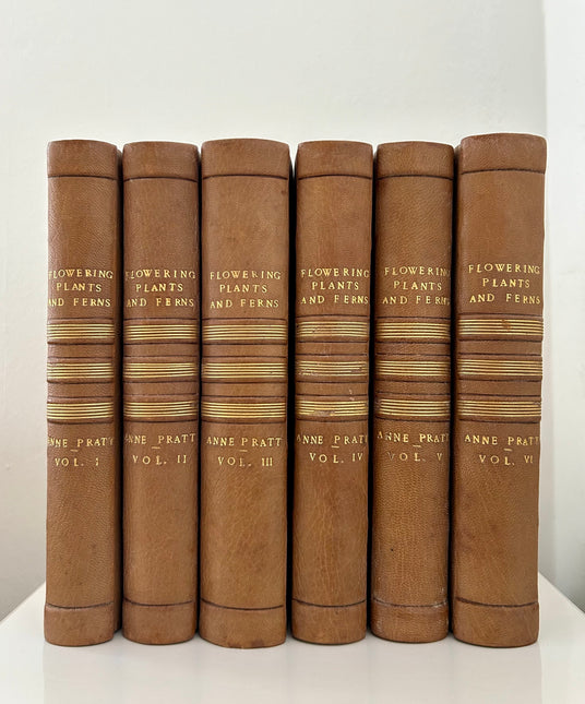 The Flowering Plants and Ferns of Great Britain: 6 Volume Set Complete