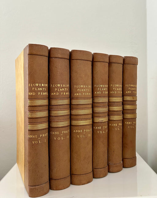 The Flowering Plants and Ferns of Great Britain: 6 Volume Set Complete