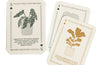 Urban Gardener Playing Cards