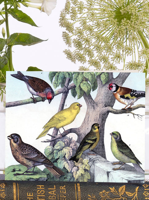 Little Vintage  Greeting Card