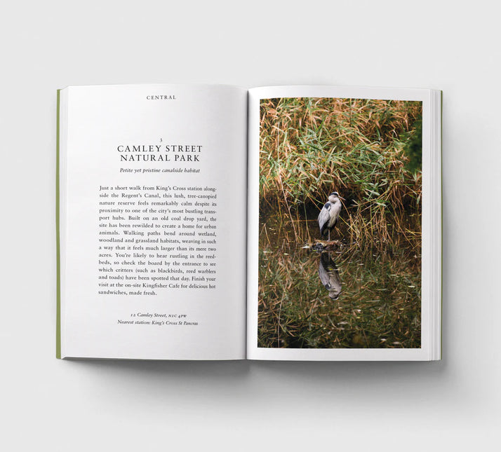 An Opinionated Guide to Wild London