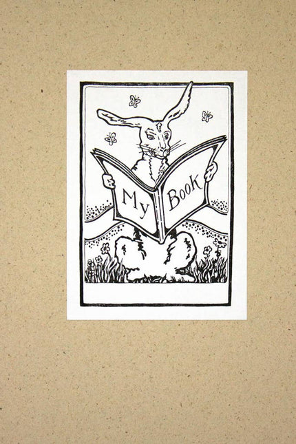 Book Bunny Bookplates x20