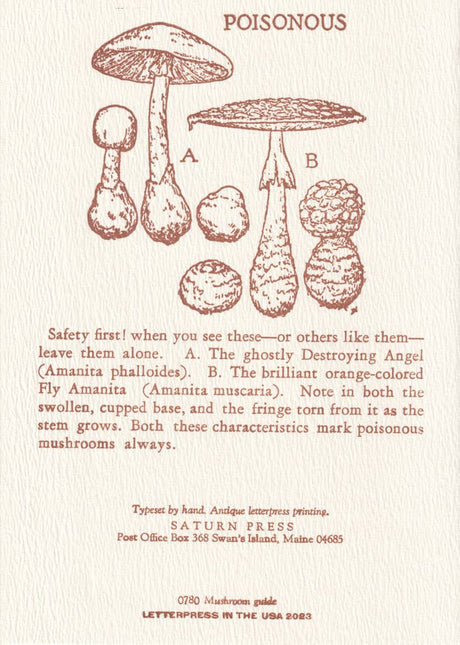 Mushroom Guide Card