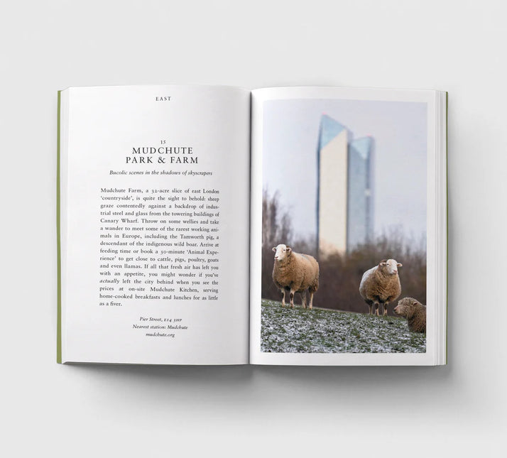 An Opinionated Guide to Wild London