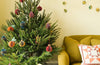 Fir Tree Honeycomb
