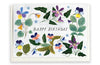 Happy Birthday Violets card