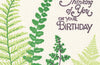 Ferns Card
