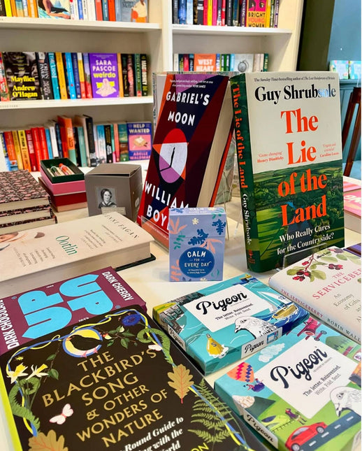 Bookstore Pigeon, Folding Stationery Letter Pack