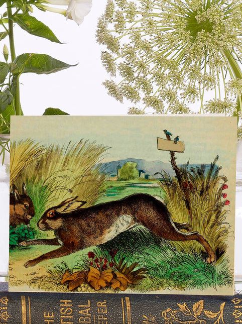 Little Vintage  Greeting Card
