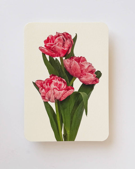 Pink Tulips Greeting Card | Birthday Card | Luxury Cards