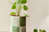 Ceramic Everything Pot - 15th Illustrated Herbs