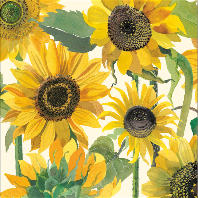 Emma Bridgewater Card Sunflowers