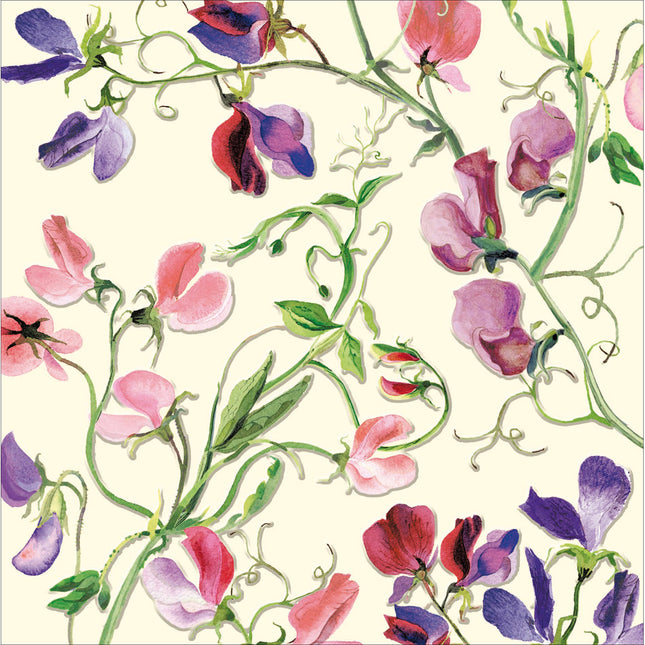 Emma Bridgewater Card Sweet Peas