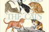Emma Bridgewater Card Cat's Pyjamas!
