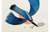 John Austin Kingfisher Card