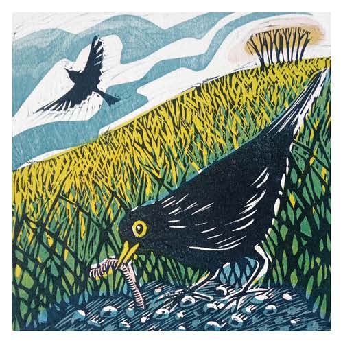 John Austin Blackbird Card