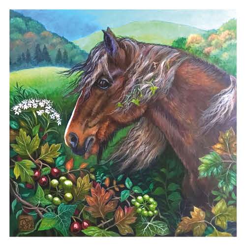 John Austin Through the Hedge Card