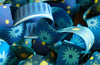 Blue and Yellow Paper Chain Kit