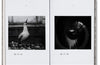 A24 The Lighthouse Screenplay Book