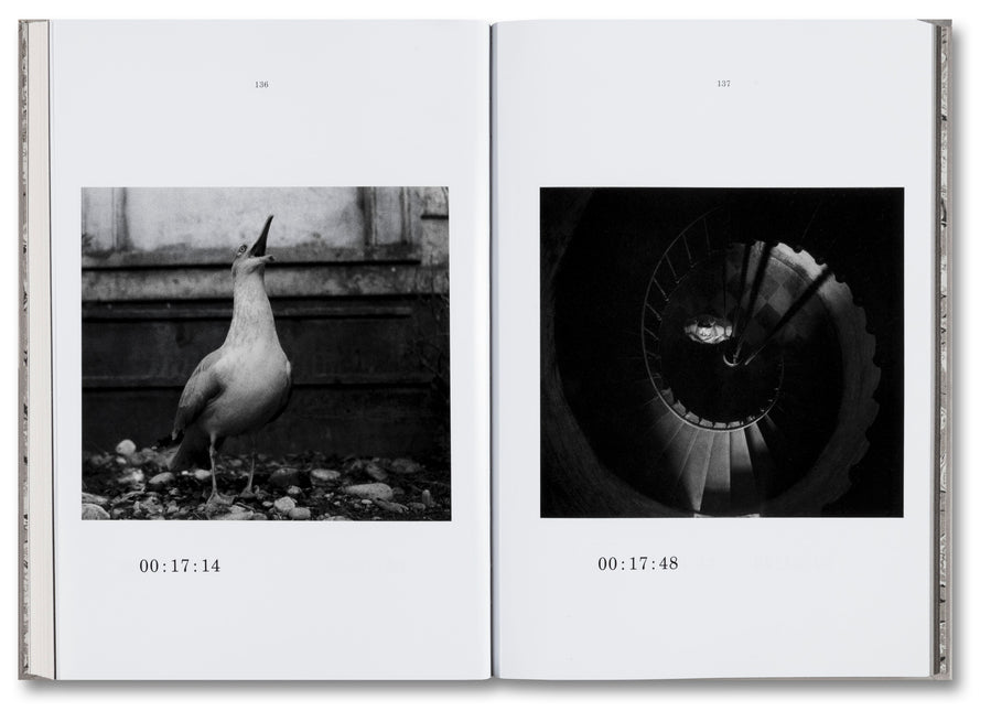 A24 The Lighthouse Screenplay Book