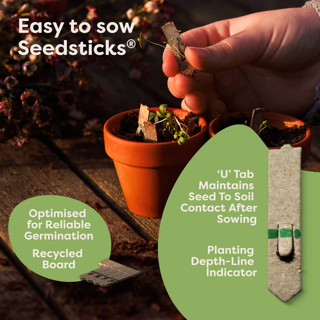 Hedgehog Seedsticks®