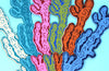 Seareads Bookmark Turquoise