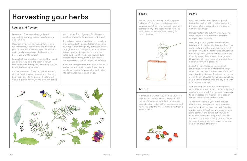 The Medicinal Garden: Treat, feed and soothe straight from your garden by Caroline Parker (PRE-ORDER)