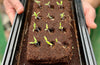 The Brontë Flowers Growbar
