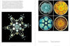 The Cosmic Dance: Finding patterns and pathways in a chaotic universe by Stephen Ellcock