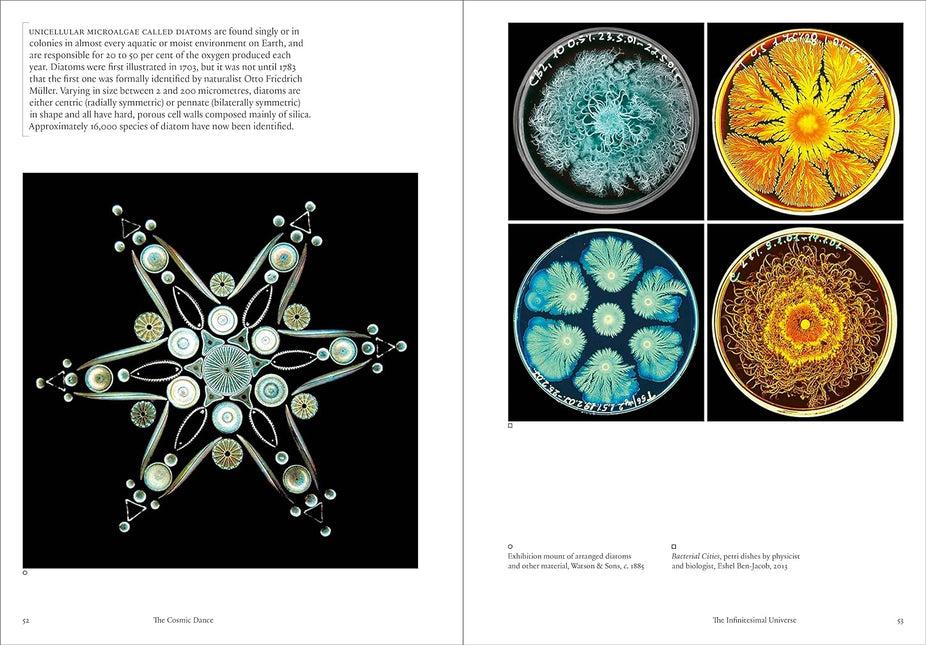 The Cosmic Dance: Finding patterns and pathways in a chaotic universe by Stephen Ellcock