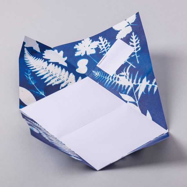 Apothecary Pigeon, Botanical Folding Letter Set