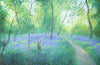 Brimstone Butterflies in the Spring Woods Card