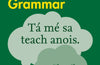 Easy Learning Irish Grammar : Trusted Support for Learning