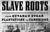 Searching for My Slave Roots by Malik Al Nasir