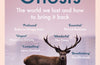 Nature’s Ghosts: The World We Lost and How to Bring it Back by Sophie Yeo