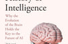 A Brief History of Intelligence : Why the Evolution of the Brain Holds the Key to the Future of Ai by Max Bennett