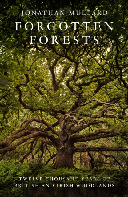 Forgotten Forests: Twelve Thousand Years of British and Irish Woodlands by Jonathan Mullard