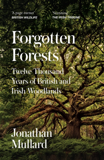 Forgotten Forests: Twelve Thousand Years of British and Irish Woodlands by Jonathan Mullard